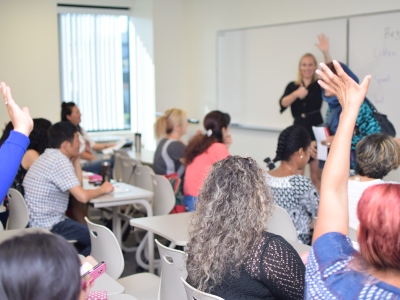 students raising hands in class