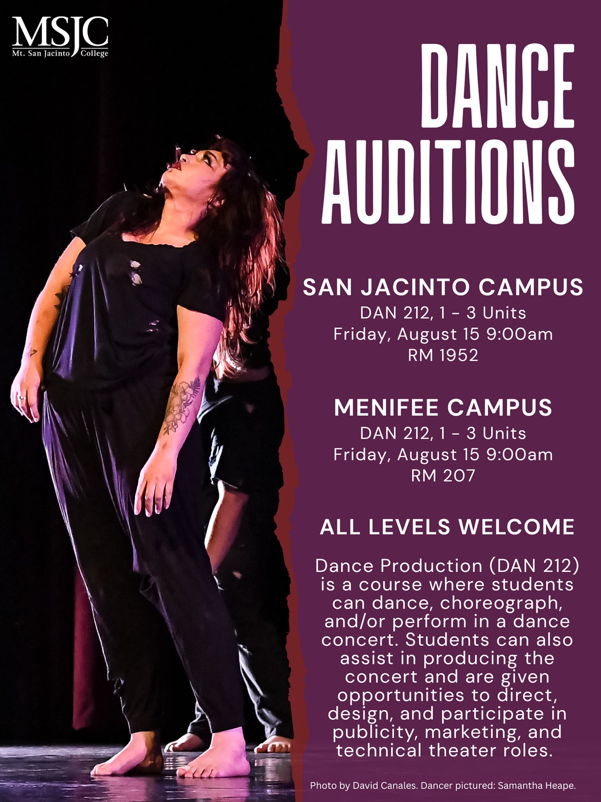 Dance Auditions poster