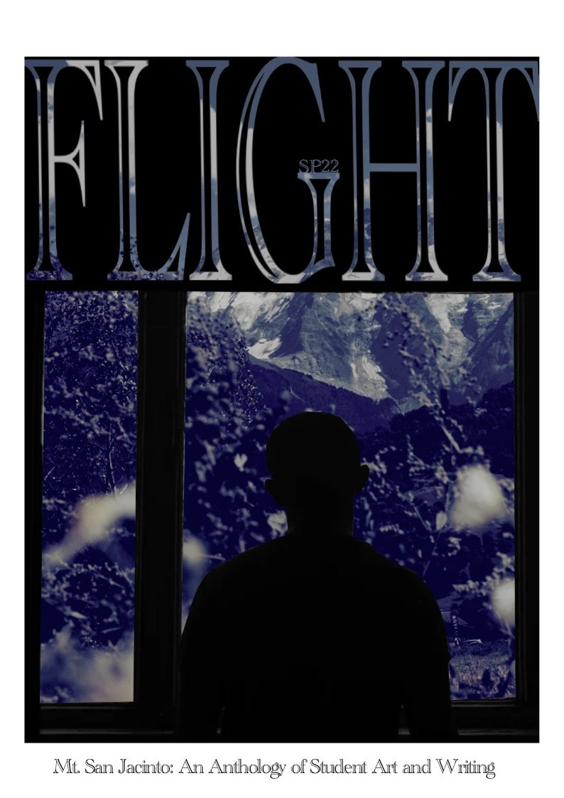 Flight 2022 is now available online