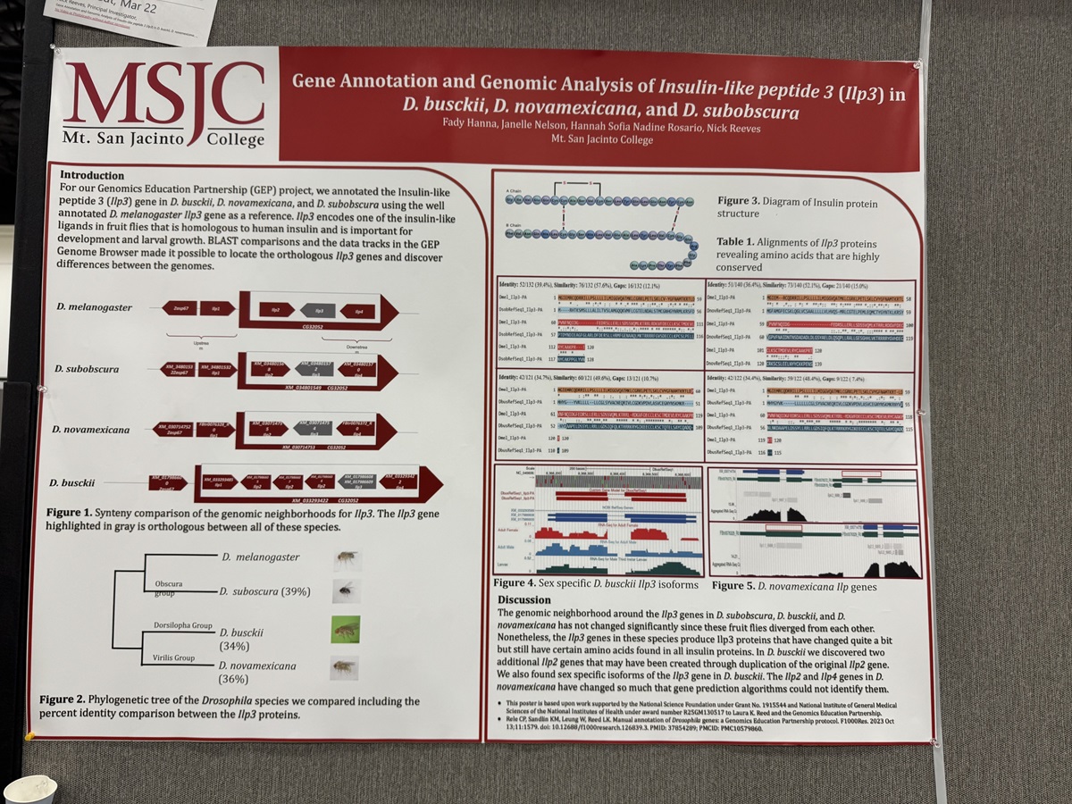 poster