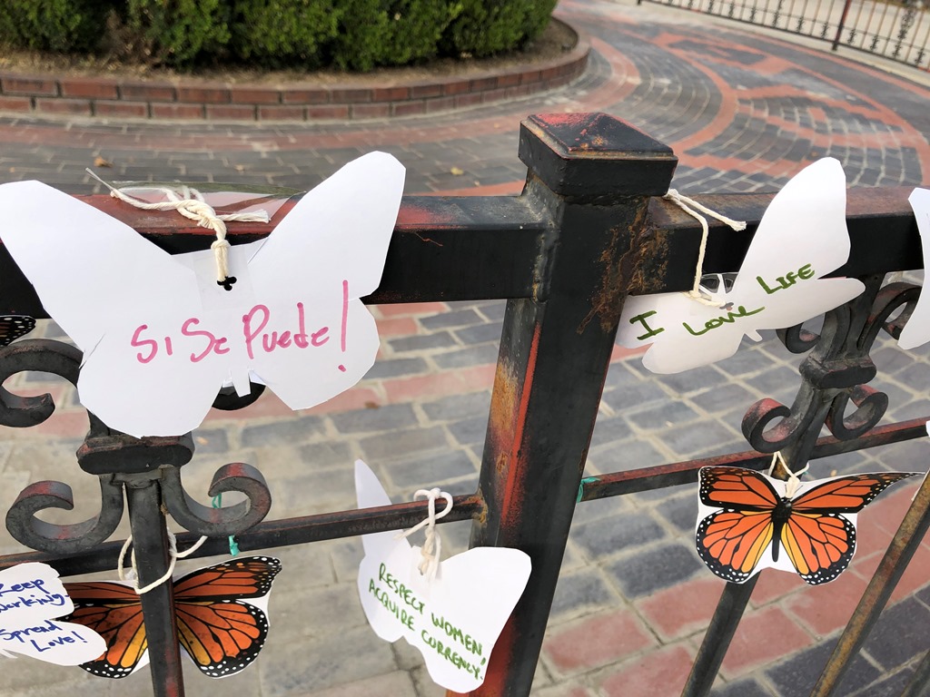 messages of support written on paper butterflies