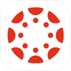 Canvas App Logo