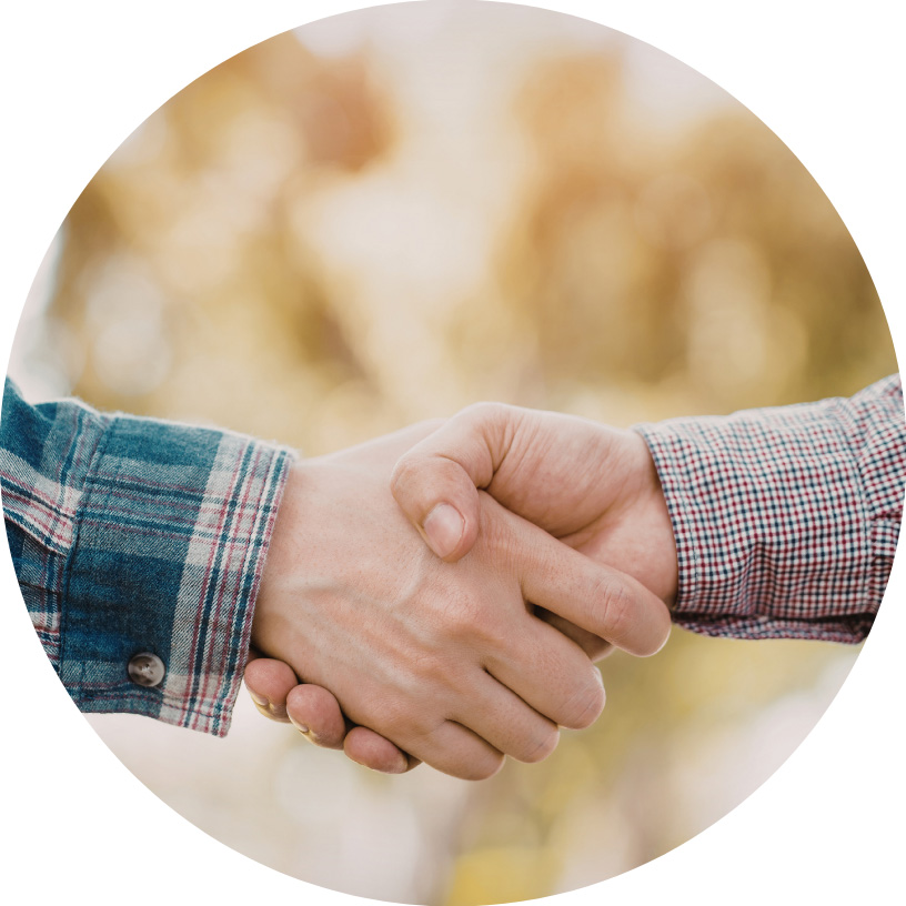 Private University Articulation Agreements